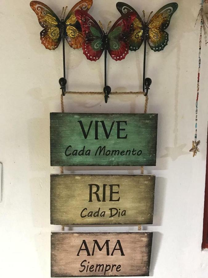 Buddy'S Hostel & Pousada Alto Paraiso Alto Paraíso de Goiás 외부 사진
