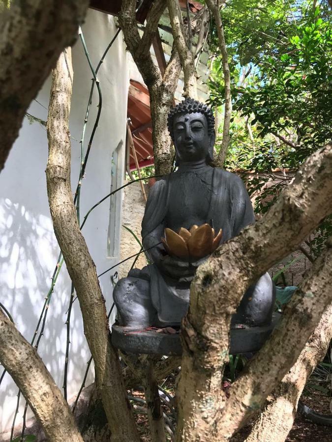 Buddy'S Hostel & Pousada Alto Paraiso Alto Paraíso de Goiás 외부 사진